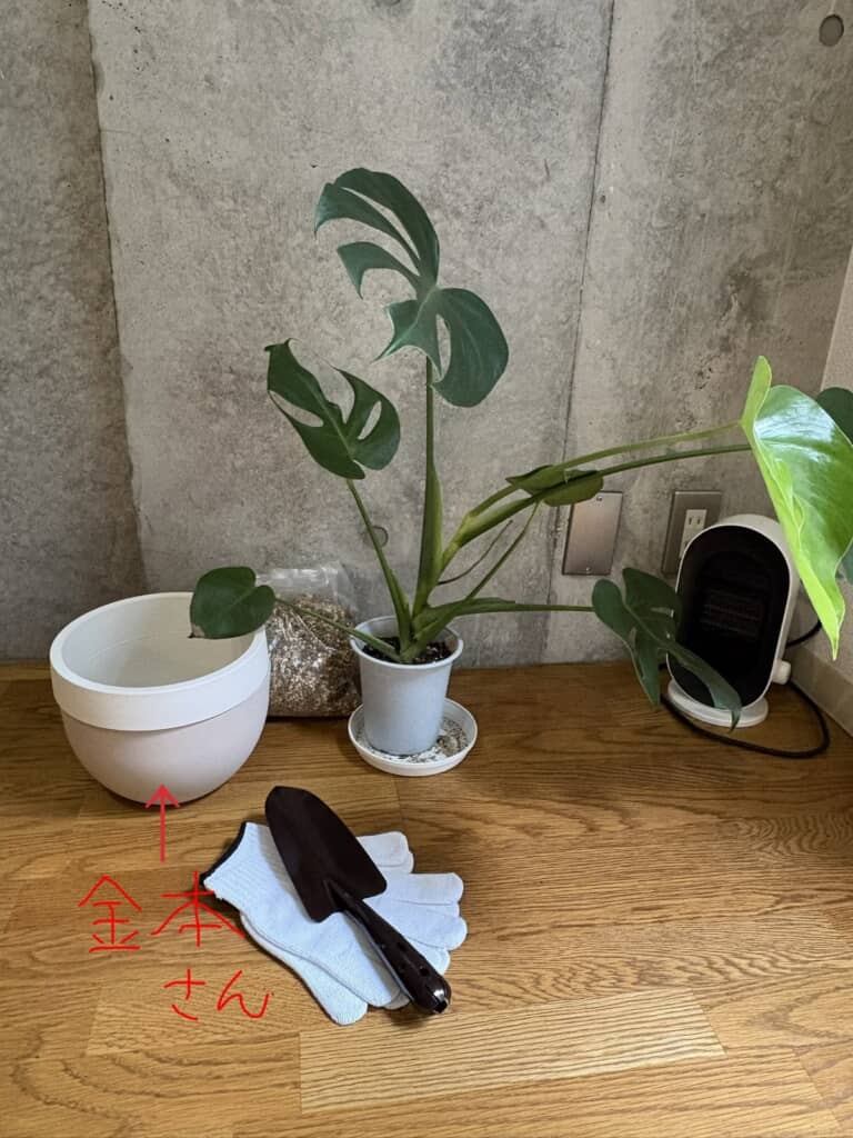 金本さん……ではなく届いた植木鉢