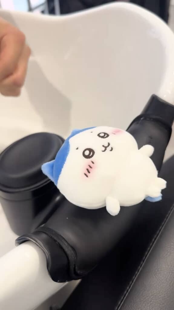 今度はハチワレも来店