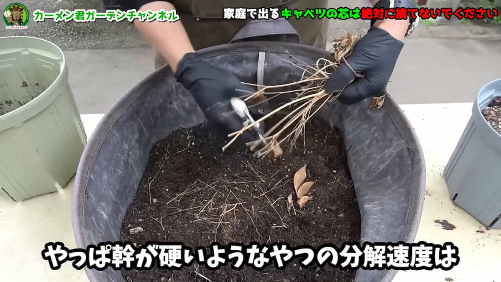 枯れた植物の根っこや枝を細かくカットする
