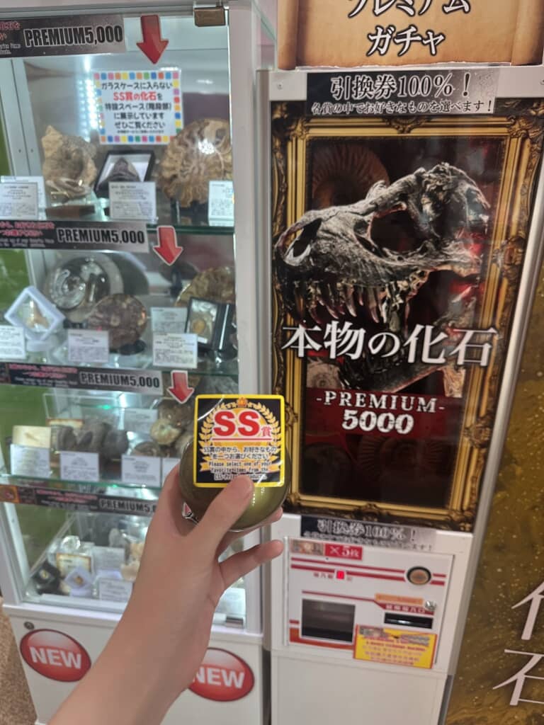 北九州市門司港にある海峡プラザ1階の「本物の化石」ガチャ