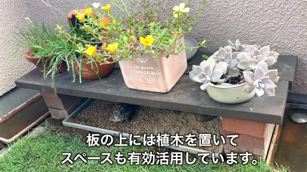 暑さ対策のため、日陰は欠かせません