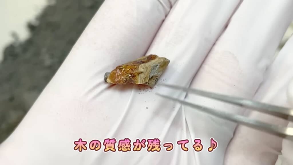 プテラの缶詰から出てきた大きな琥珀