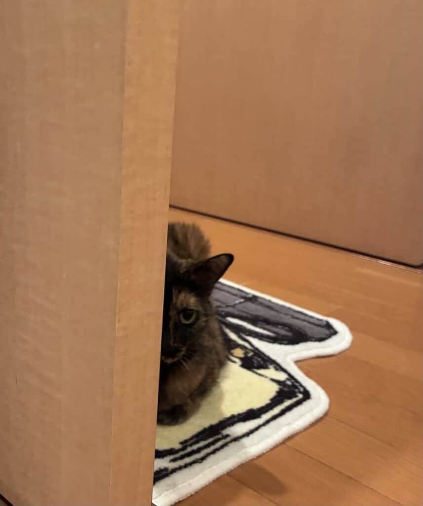 このときも、影から飼い主さんを見守っていてくれたのかも……