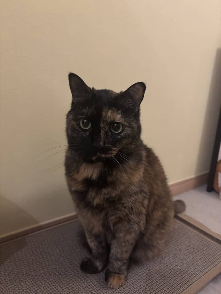 飼い主さんから離れるのが不安かと思いきや、逆に自分がお世話する側だと思っていた!?