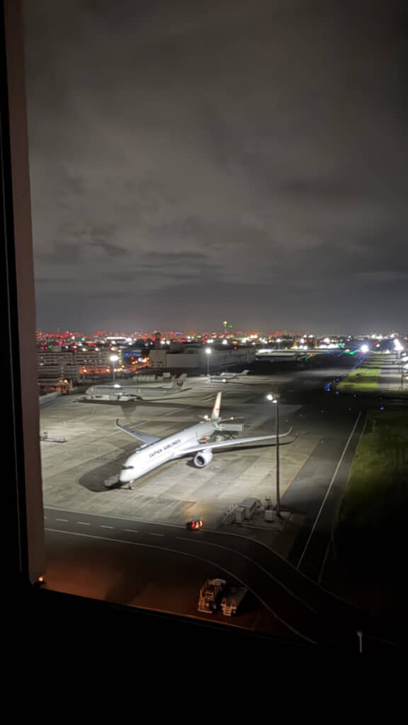 外を見るなりすぐ飛行機