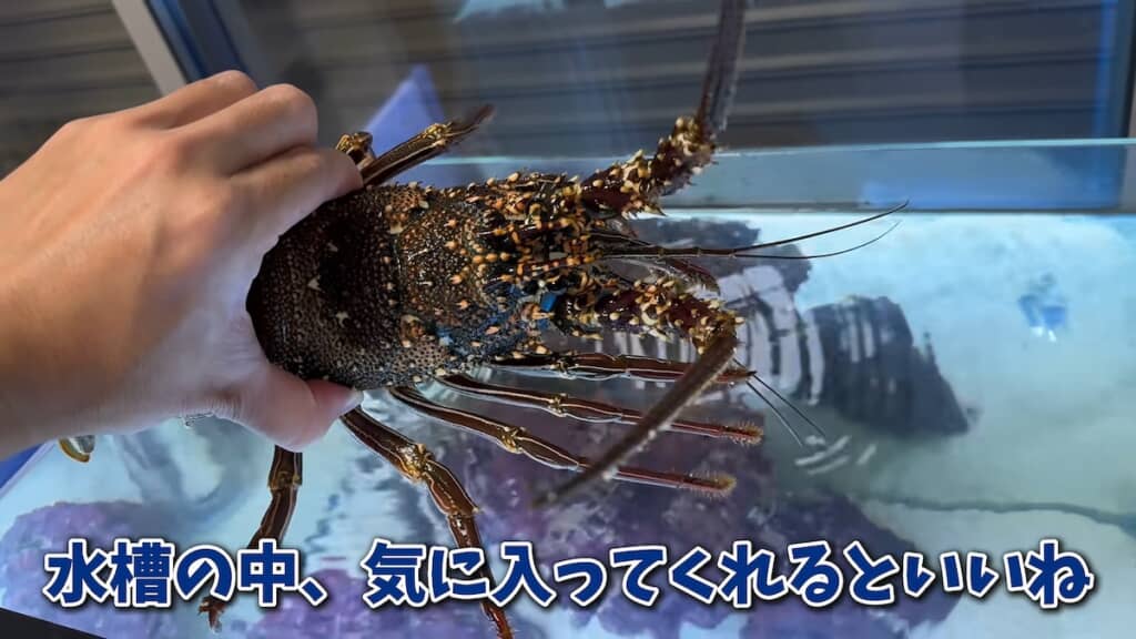 元気になったら移動させて……