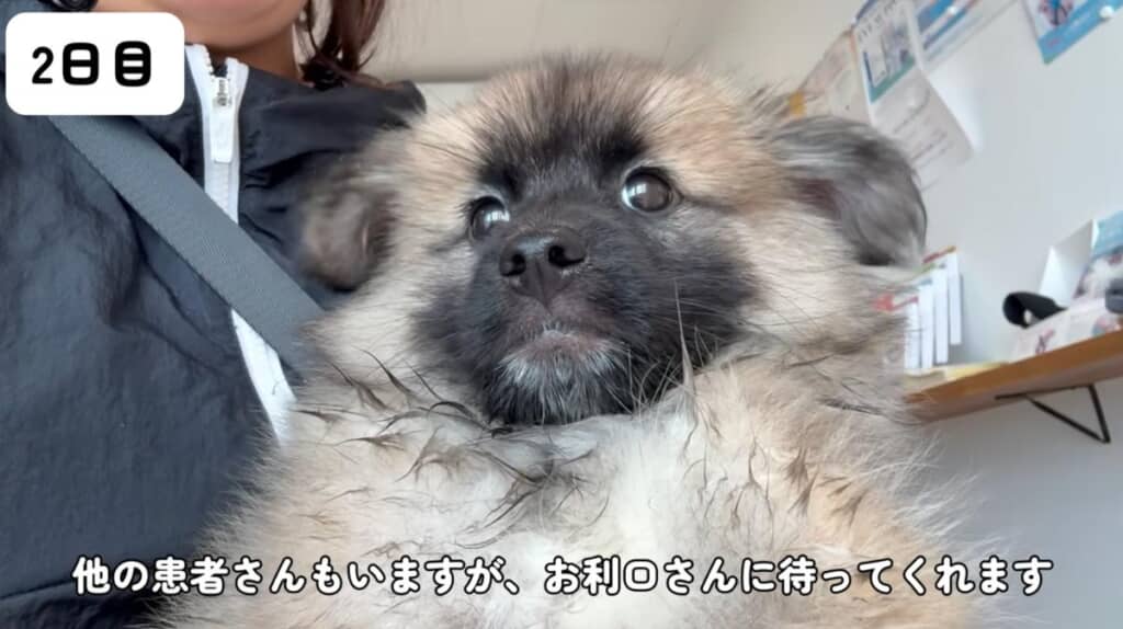 2日目は病院へ