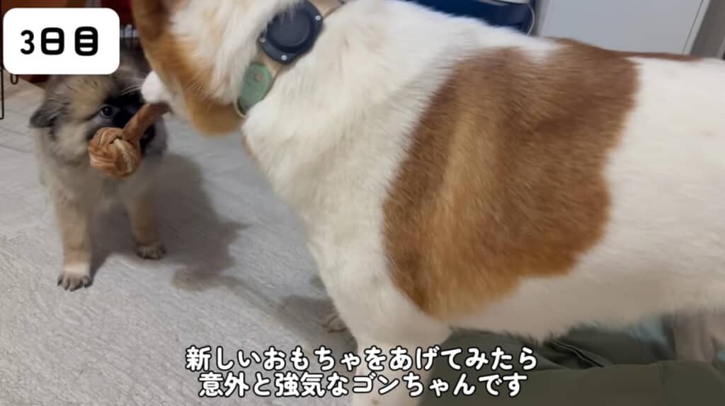 強気な場面も