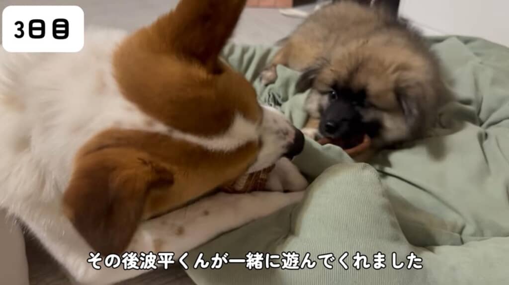 最後は仲良し