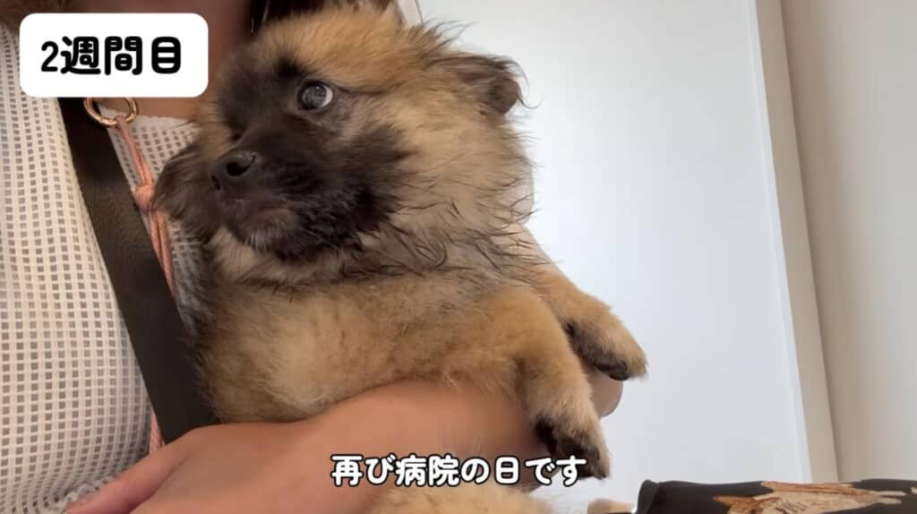 2度目の病院へ