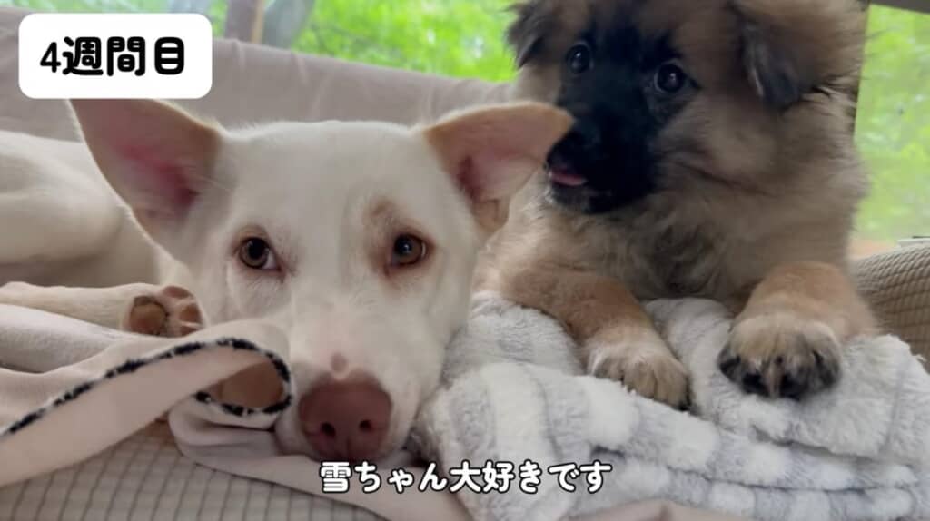 雪ちゃんとも仲良しです