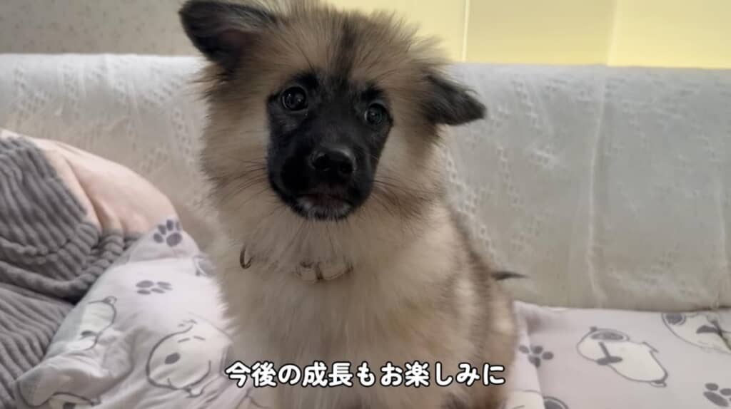 今後の成長が楽しみ!
