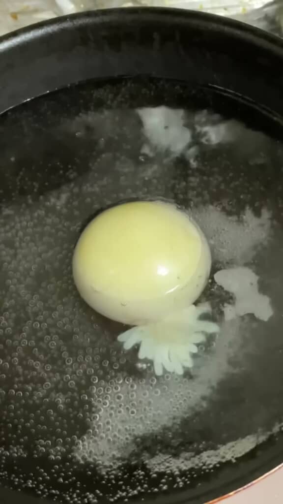 卵の右下から生えてきた細長い粒状の物体