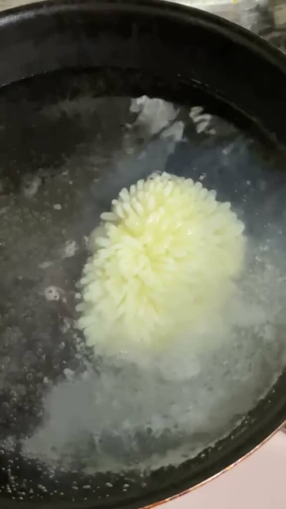 花のように広がった細長い粒状のタコの卵