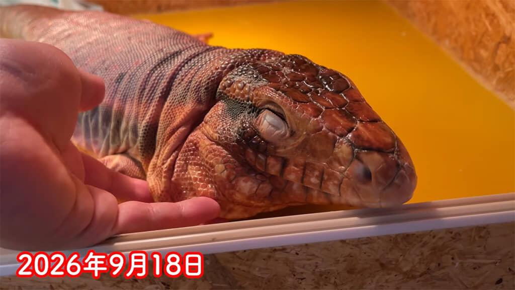 もっともっと幸せになってね