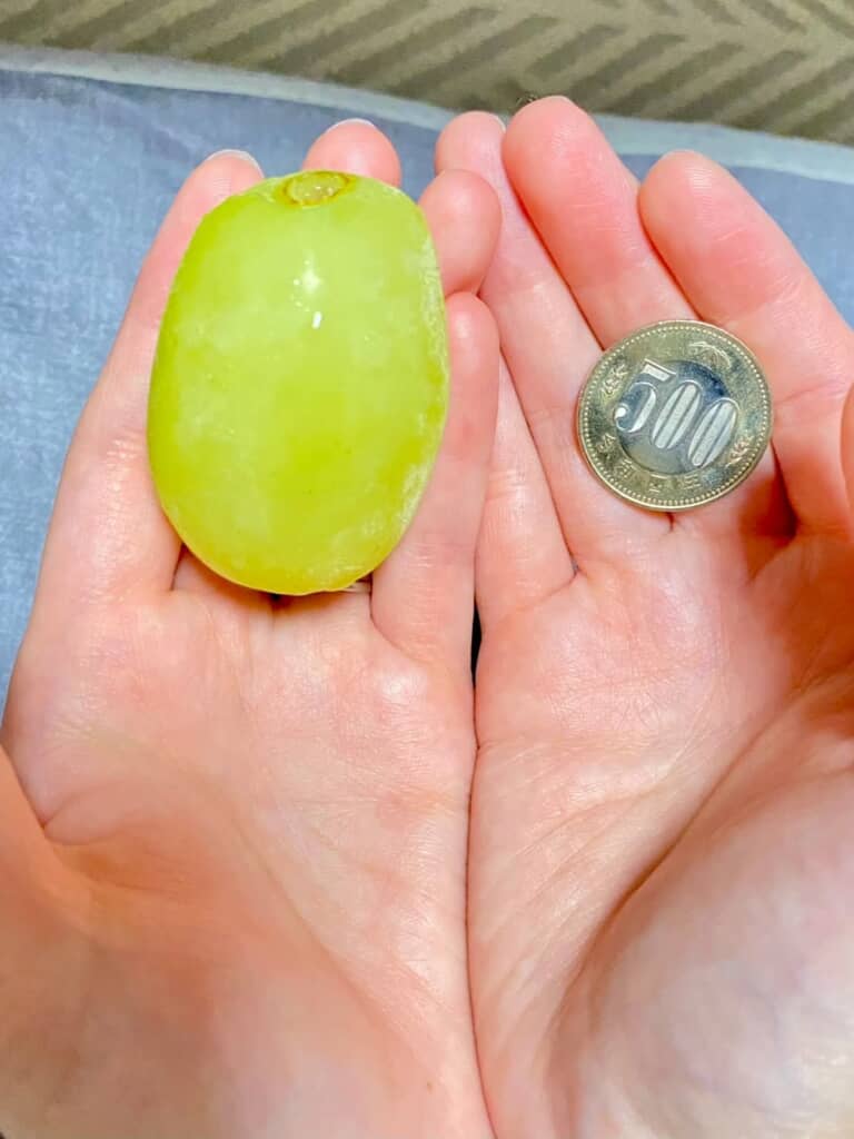 500円玉が小さく見える比較写真