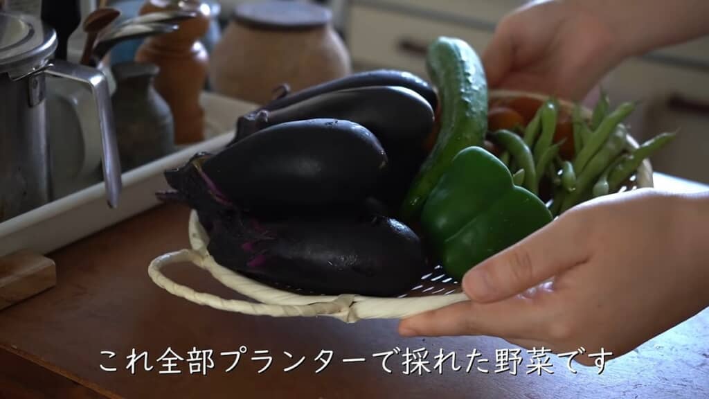 プランターで採れたナス、ミニトマト、キュウリ、インゲン、ピーマン