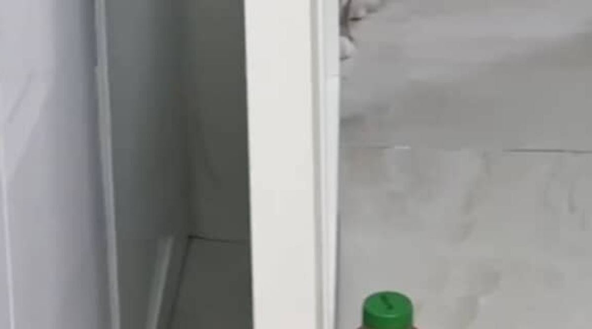 ベッドで赤ちゃんをかわいがるパパ→ふとドアの向こうを見ると……　愛猫のまさかの表情が2300万再生「なんと」「いやあああ」【海外】（1/2） | 猫 ねとらぼ