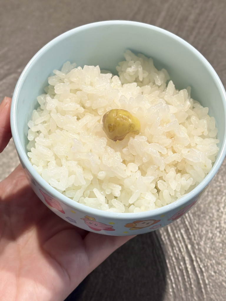 とってもおいしそうな1粒栗ごはん!