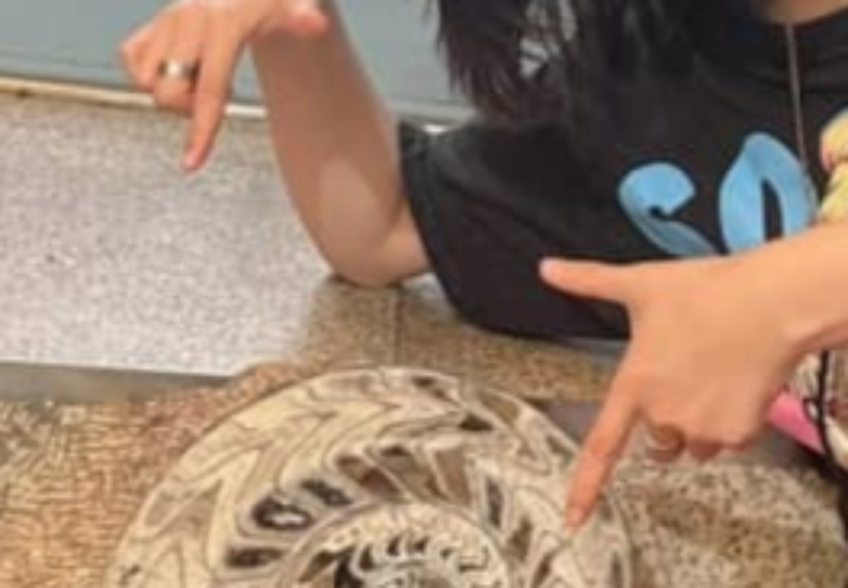 福岡・門司港の“5000円ガチャ”に挑戦→当たったのは……　衝撃の景品に「えぐい引き!!」「どうぶつの森みたい」（1/3） | ライフスタイル ねとらぼ