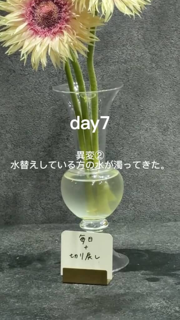 毎日替えている水が濁った……?