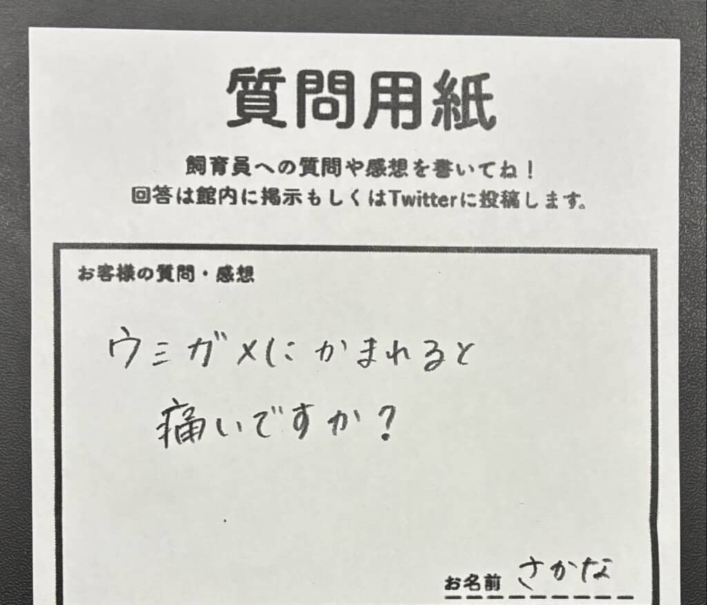 水族館の「質問用紙」に、「ウミガメにかまれると痛いですか？」と手書きで質問が書かれている。右下には名前欄があり、「さかな」と記入されている。