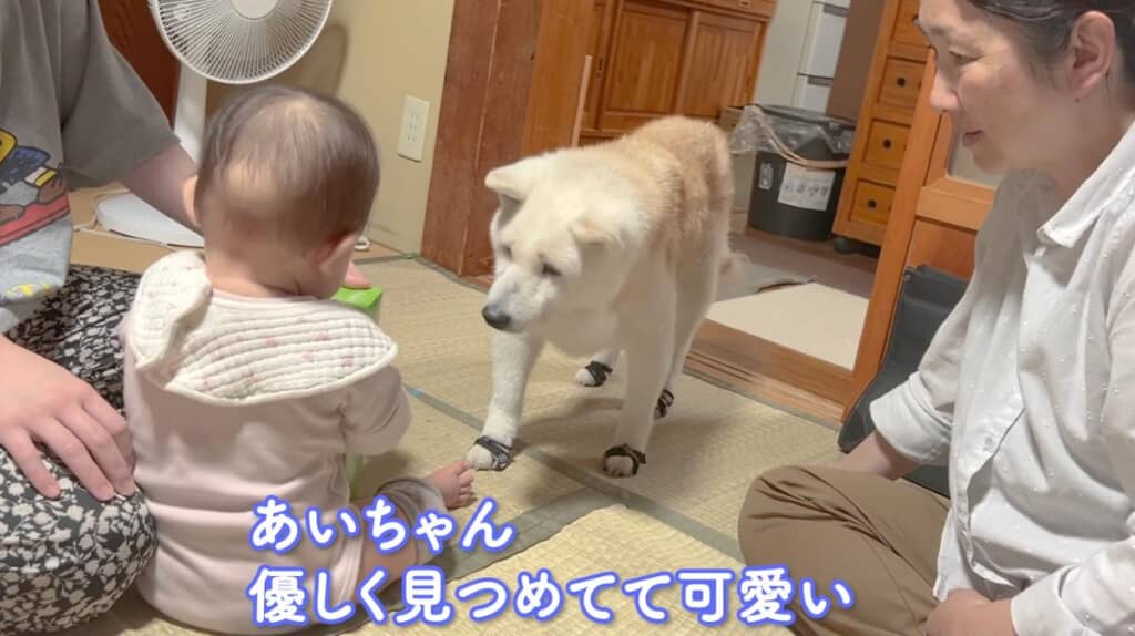 優しい眼差しを送るあいちゃん