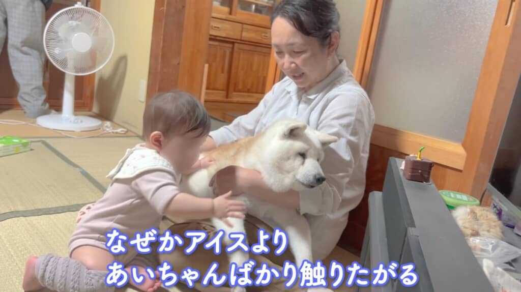 お礼のモフモフ