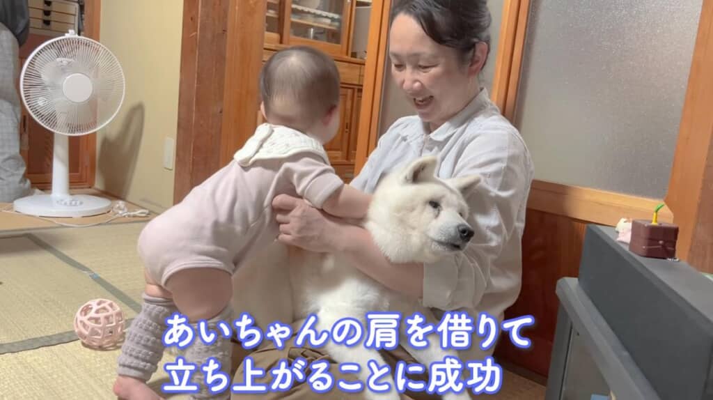 立ち上がることに成功！