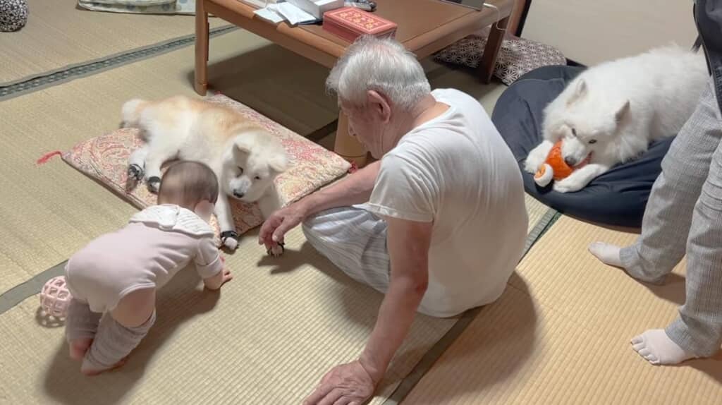 今後の成長も楽しみだね！