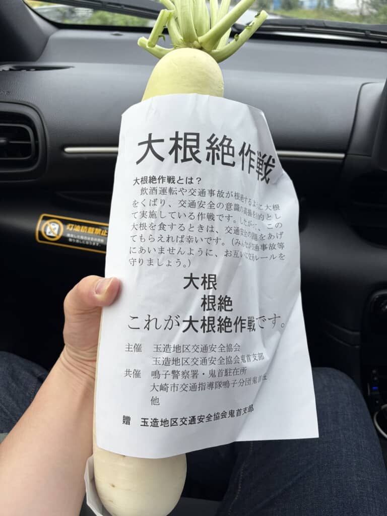 交通事故の根絶を目指す大根絶作戦のチラシとその象徴であるダイコン