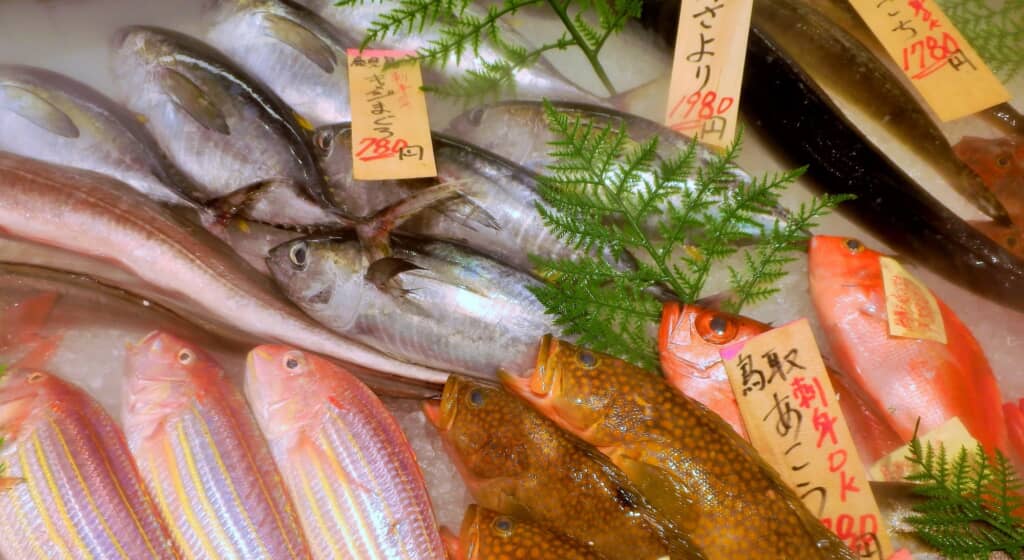 魚屋さんで購入したのは……