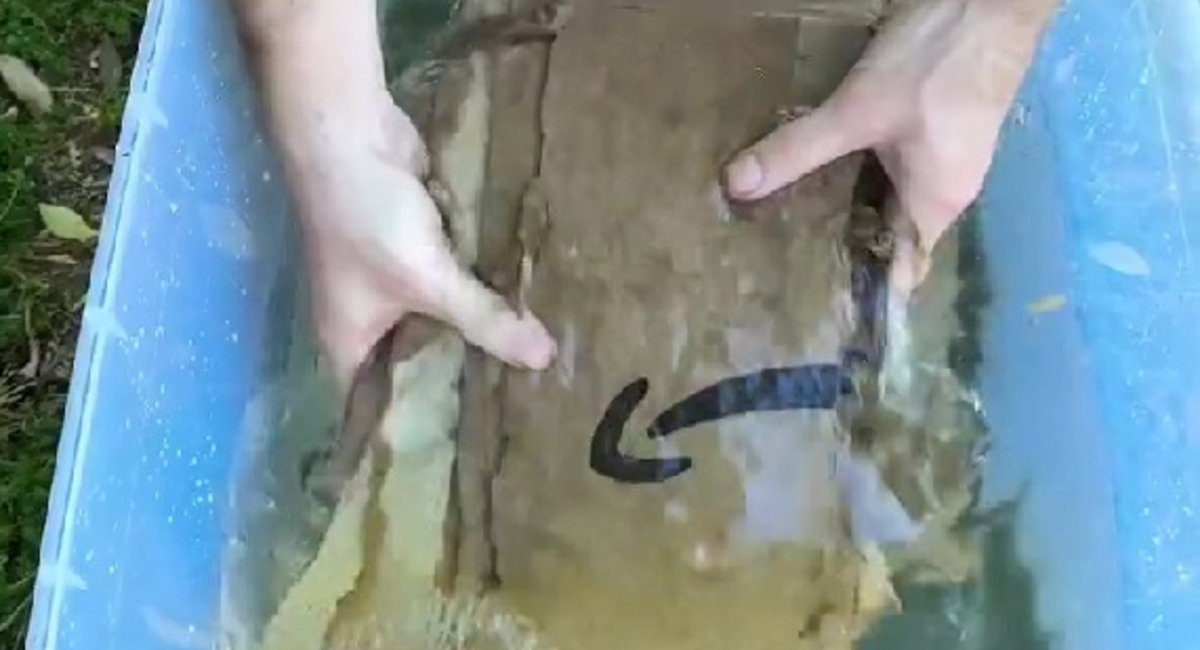捨てる段ボールは水に浸して!→くるくる丸めると…… 目からウロコの活用法に「天才的」「すばらしいアイデア」【海外】(1/3) | ライフハック ねとらぼ