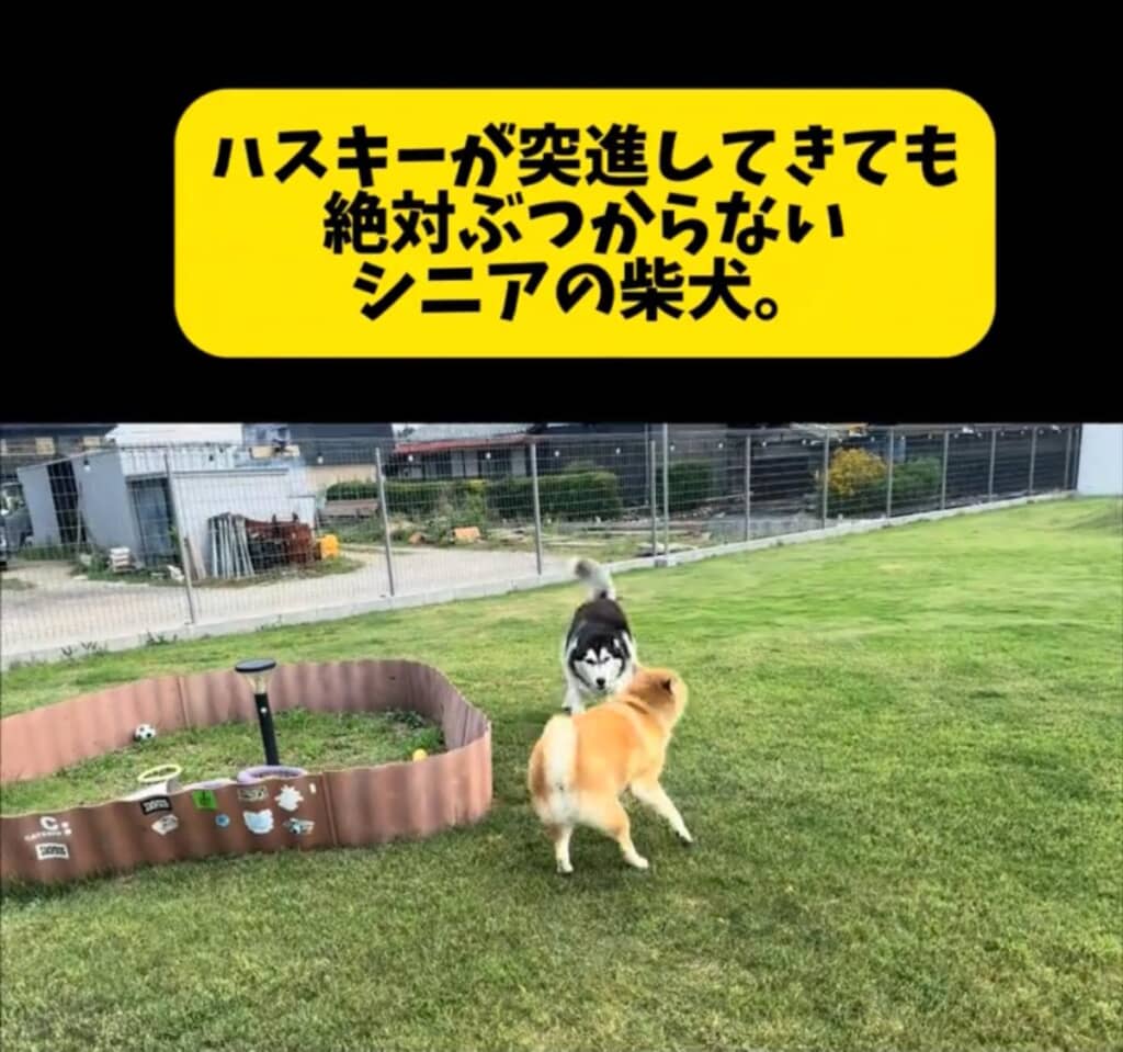 おこめくんはおもちくんをロックオン