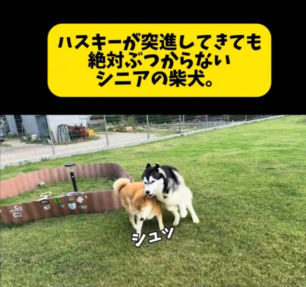 おもちくんは「シュッ」とおこめくんを華麗にかわしました