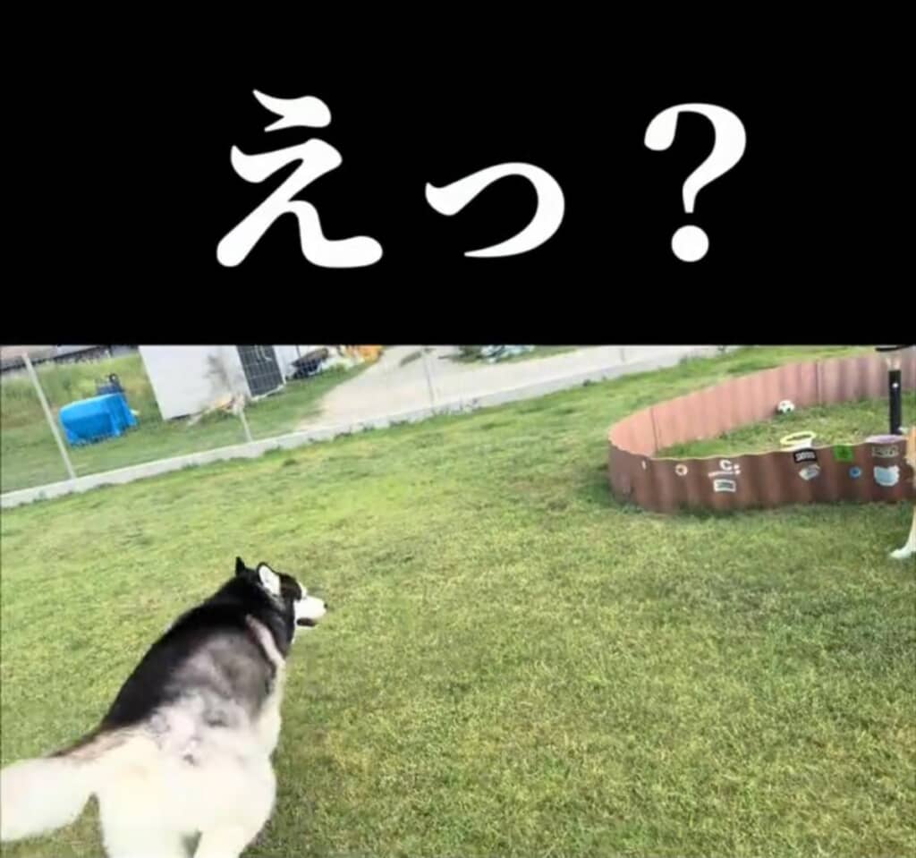 「え?」