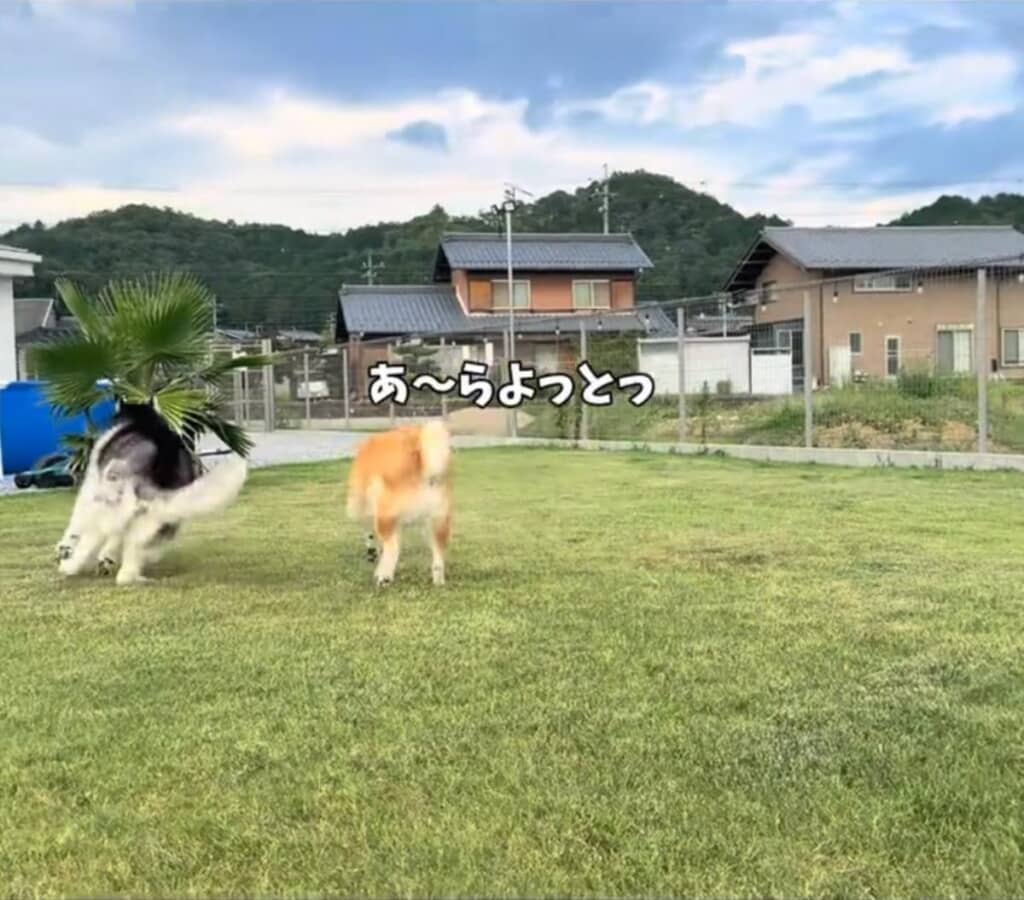 3発目のハスミサイルも失敗
