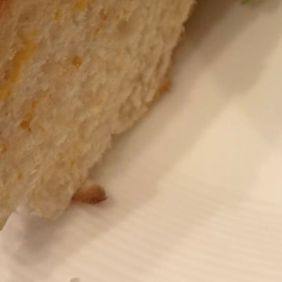 コメダで540円の「手作りたまごドッグ」を頼んだら…… 目を疑う光景に「これ540円??」「逆写真詐欺にも程がある」と956万表示 | ライフスタイル ねとらぼ