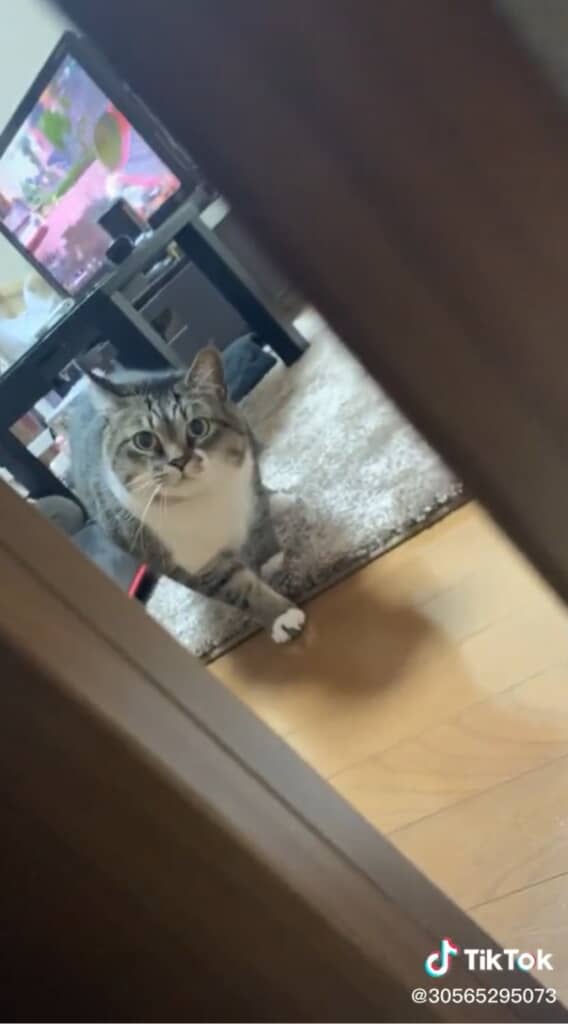 何してるの？