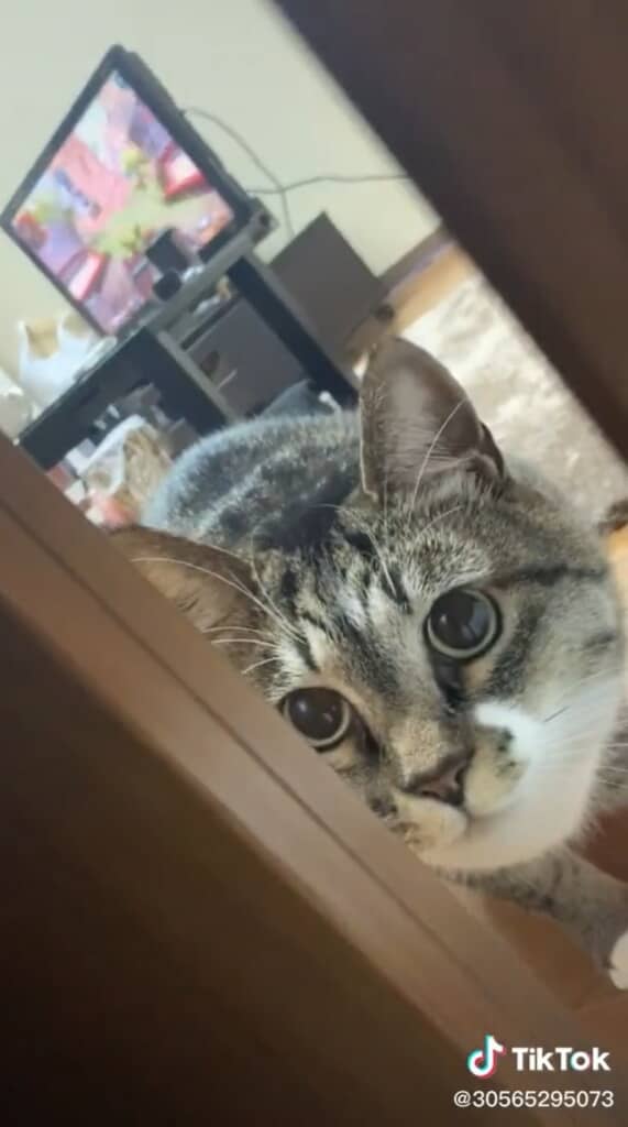 ドアの前までやってきました