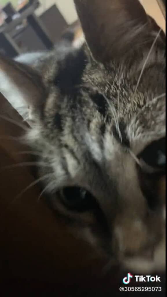 ドアップもかわいい！