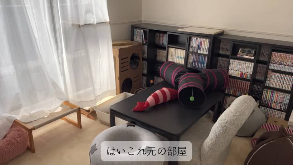 元の部屋は、壁際に黒い本棚が2つ、中央にテーブルが1つ、テーブルの上に猫のおもちゃ、クッションチェアがいっぱい
