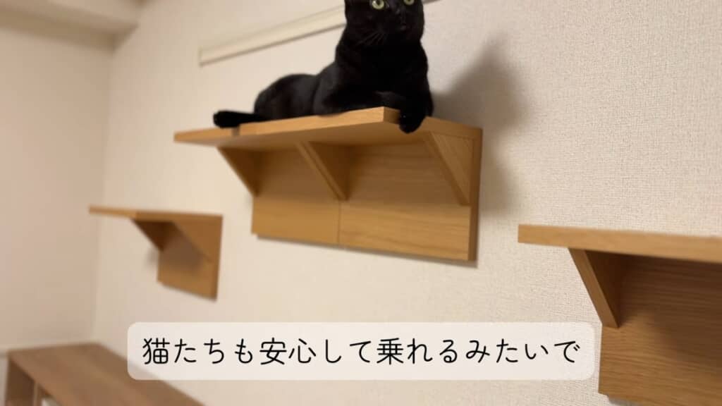 最初にのったのは好奇心旺盛なスイちゃん