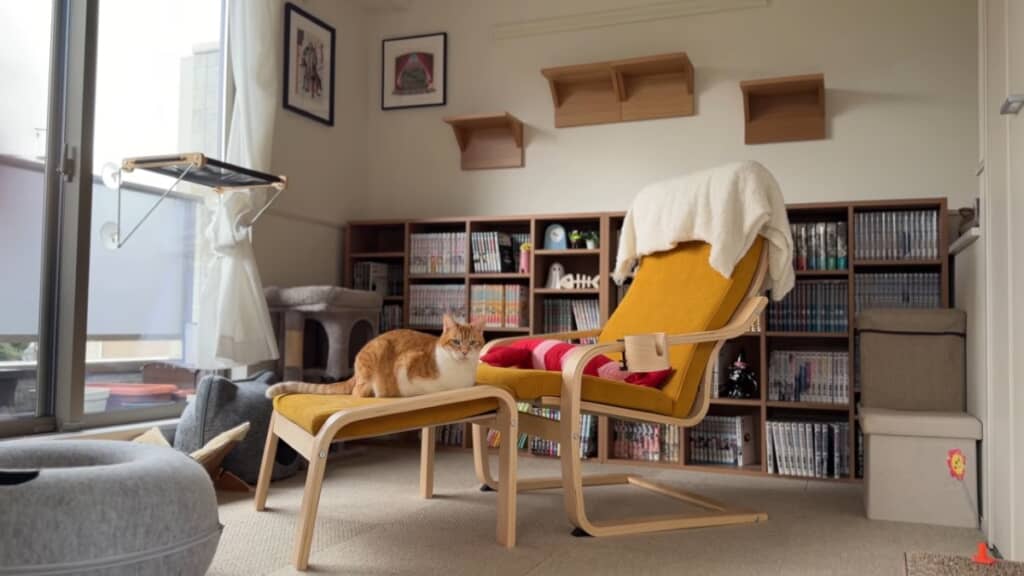 模様替えで猫も人もくつろげる空間に