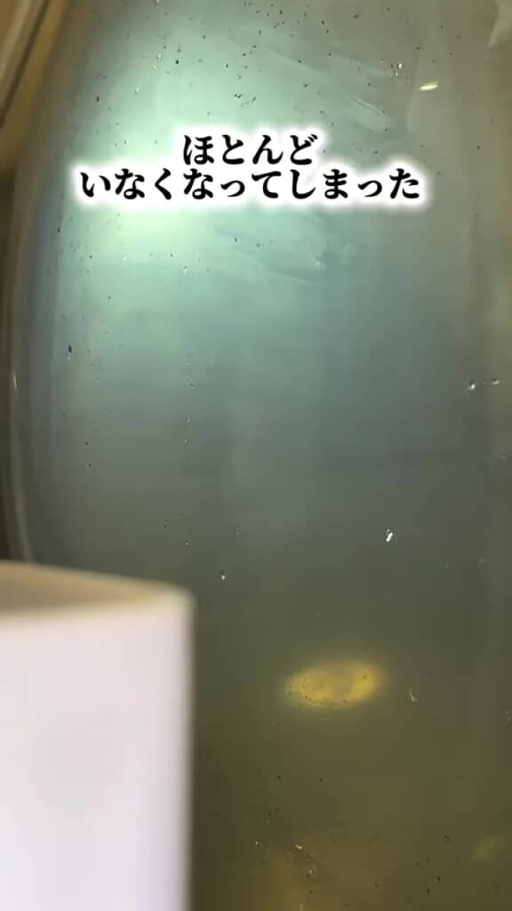 気分は天国から地獄……