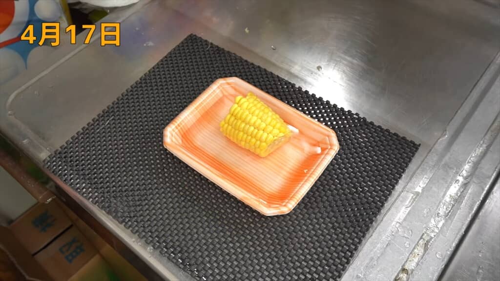 水に浸けて育てる方法