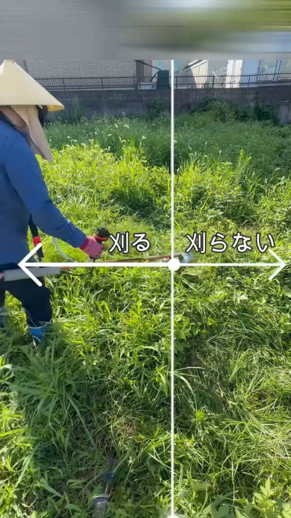 事前に草刈りしておく場所と草刈りしない場所を作る