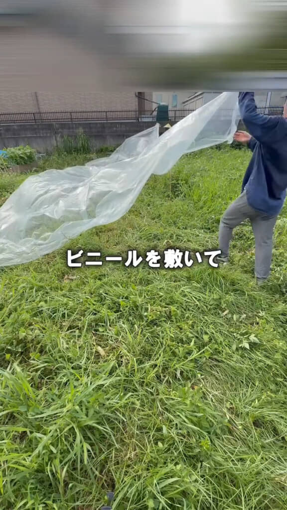 大きなビニールでおおい……
