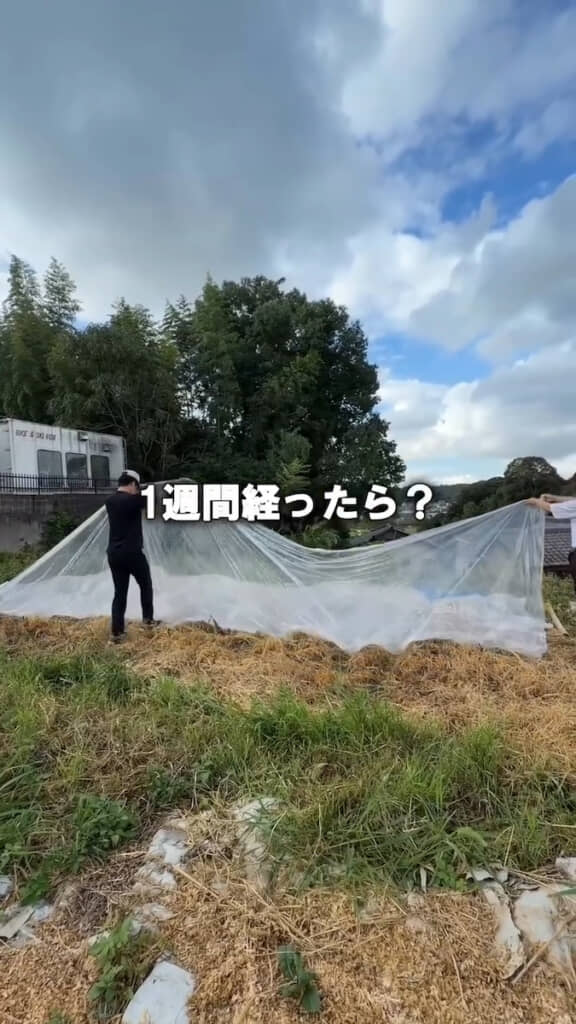 ビニールを取ってみると……