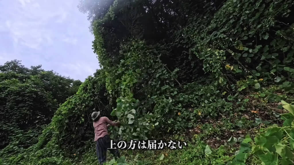 高いところは届かない……